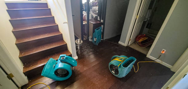 Best Water damage cleanup near me  in Hempstead, TX