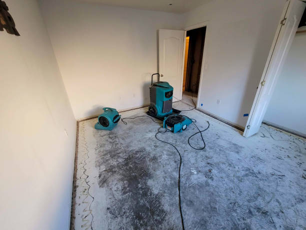 Best Flood restoration services  in Hempstead, TX