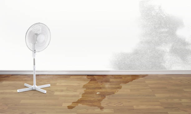 Best Sewage cleanup and water damage restoration  in Hempstead, TX