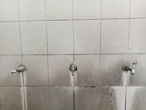 Reliable Hempstead, TX Water damage restoration Solutions