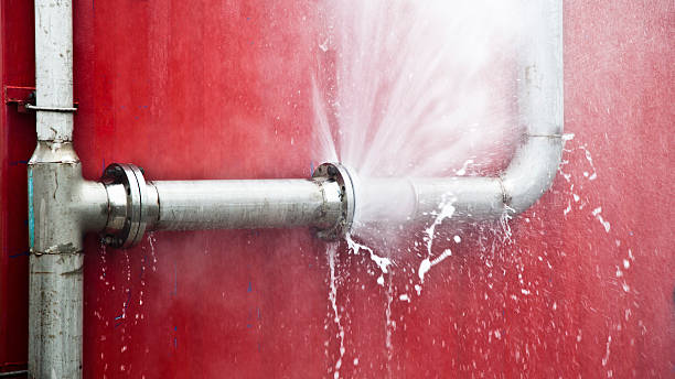 Best Carpet water damage restoration  in Hempstead, TX